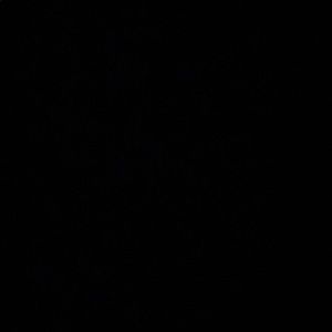 Meet your Posher, Areeba